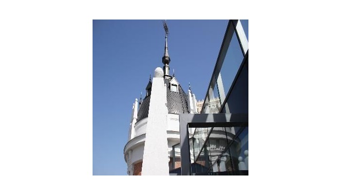 Dear Hotel Madrid poza 9