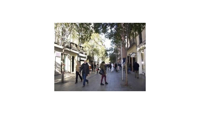 Hotel Los Alpes Hostal poza 0