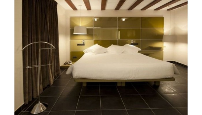 Hotel Posada Del Leon De Oro poza 4