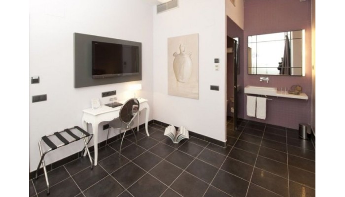 Hotel Posada Del Leon De Oro poza 6