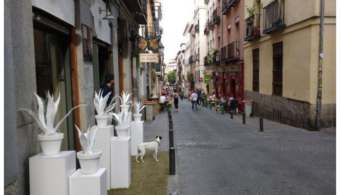 Hotel Prado Apartamentos poza 1