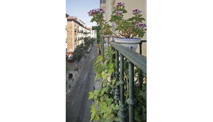 Hotel San Antonio Hostal poza 6