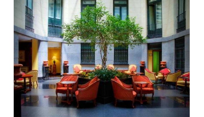 Intur Palacio San Martin Hotel poza 6