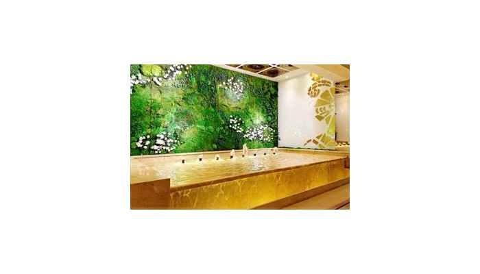 Mayorazgo Hotel poza 2