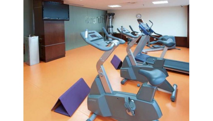 Tryp Madrid Plaza Espana Hotel poza 5