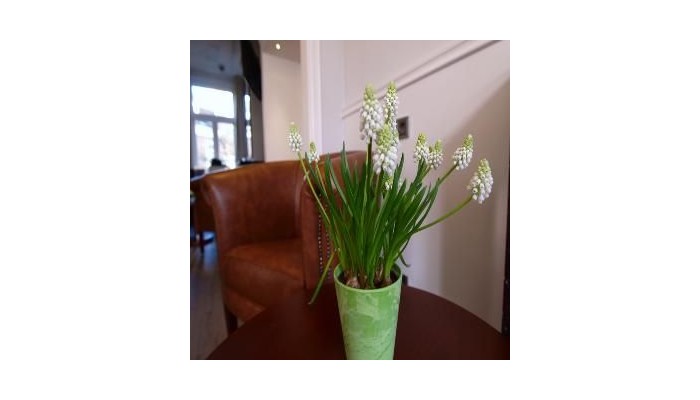 Clemens Amsterdam Hotel poza 7