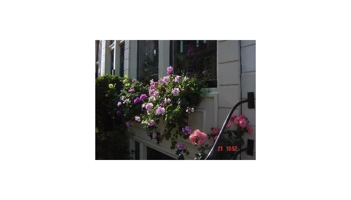 Hotel Amsterdam Bandb Barangay poza 4