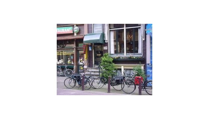 Hotel The Golden Bear poza 5