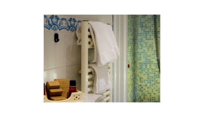 Hotel Alexander Palme poza 6