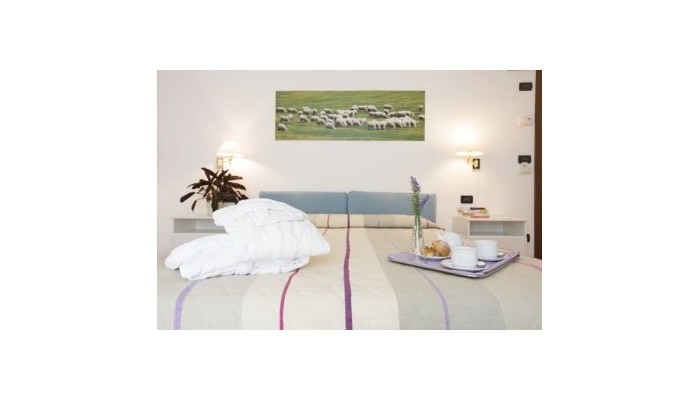 Hotel Angiolino poza 6