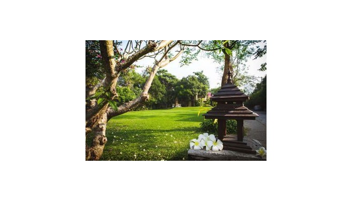 Natural Park Resort poza 5