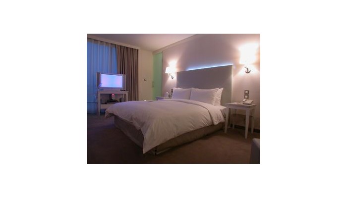 Hotel Ambience poza 1