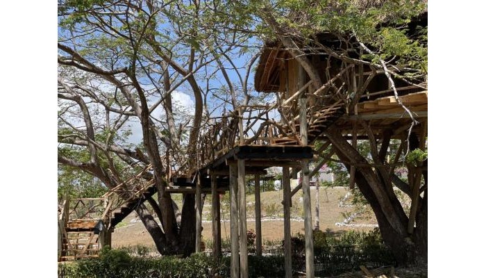 Antonio Beach Tree House Hotel & Spa poza 5