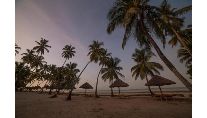 Antonio Beach Tree House Hotel & Spa poza 29