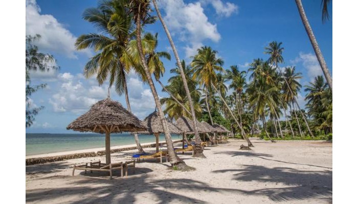 Antonio Beach Tree House Hotel & Spa poza 33