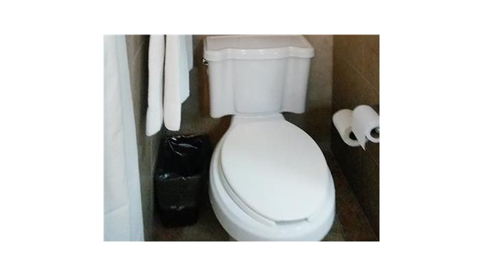 Best Western Hotel Majestic poza 3