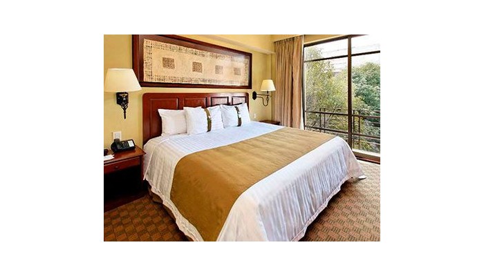 Holiday Inn Hotel And Suites Zona Rosa poza 9