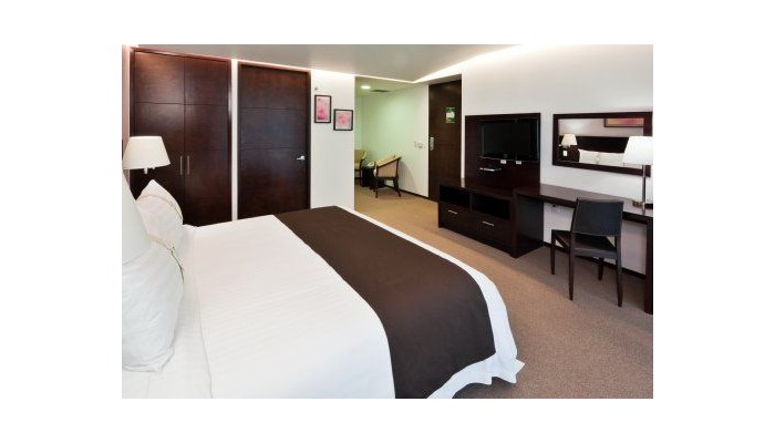 Holiday Inn Hotel & Suites Medica Sur poza 3