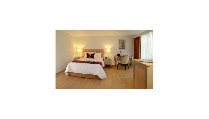 Hotel Alteza Polanco poza 2