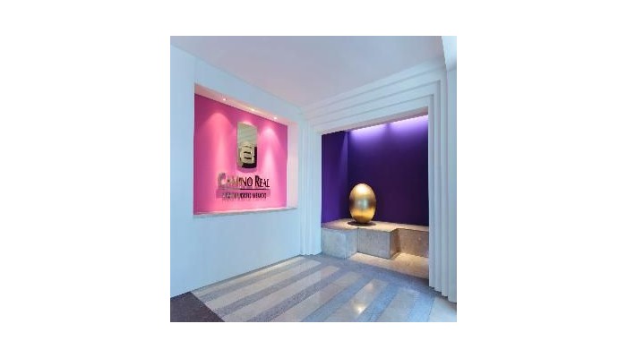 Hotel Camino Real Connected To International Mexico City poza 6