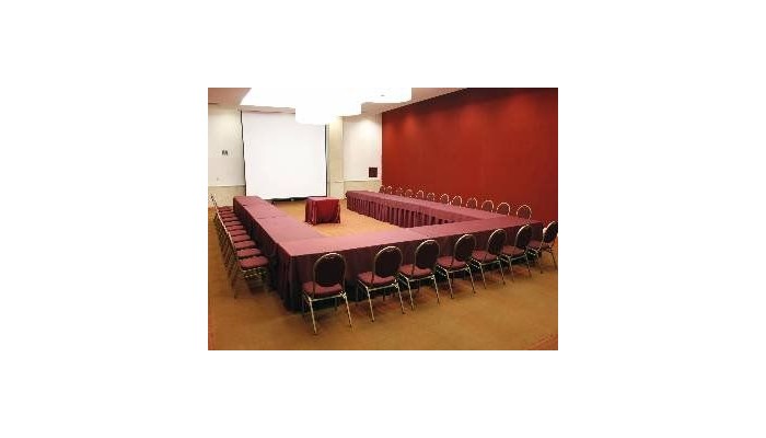 Hotel Camino Real Connected To International Mexico City poza 8