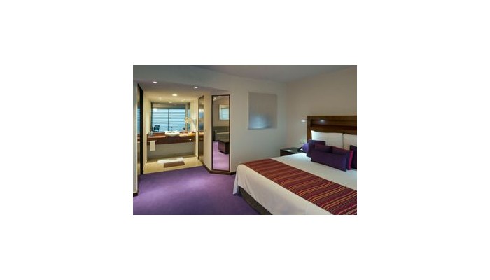 Hotel Camino Real Pedregal poza 3