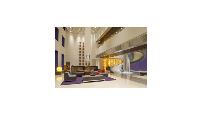 Hotel Camino Real Pedregal poza 11