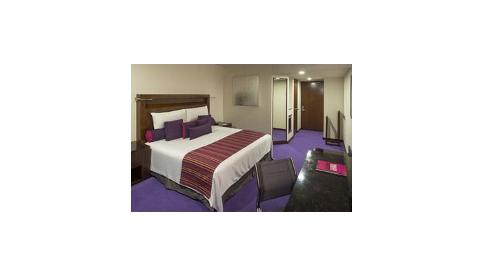 Hotel Camino Real Pedregal poza 0