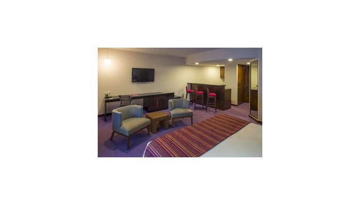 Hotel Camino Real Pedregal poza 4