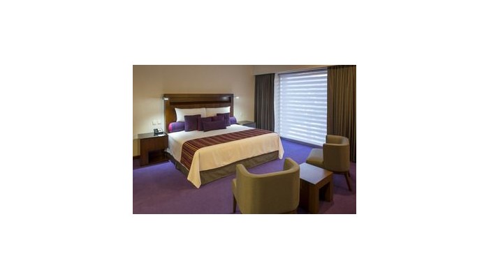 Hotel Camino Real Pedregal poza 5