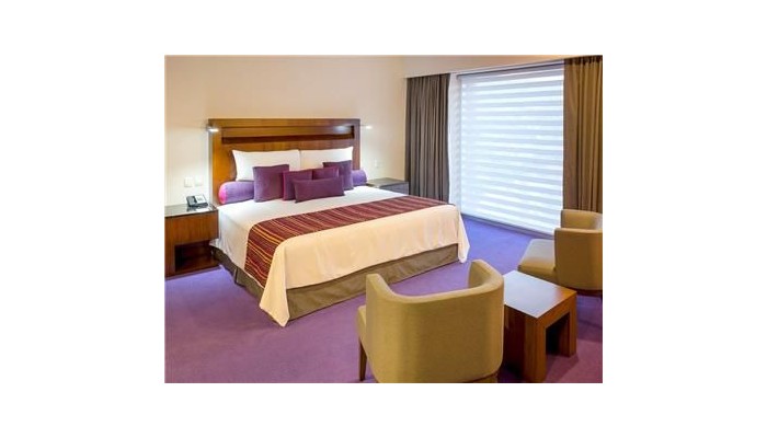 Hotel Camino Real Pedregal Mexico poza 10