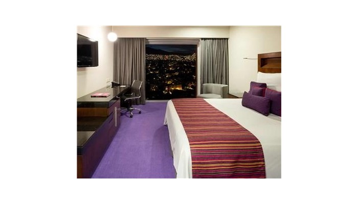 Hotel Camino Real Pedregal Mexico poza 9