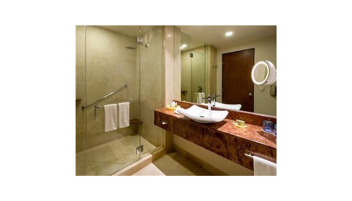 Hotel Camino Real Pedregal Mexico poza 8