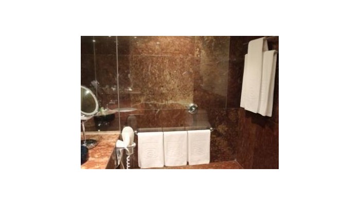 Hotel Camino Real Polanco poza 7