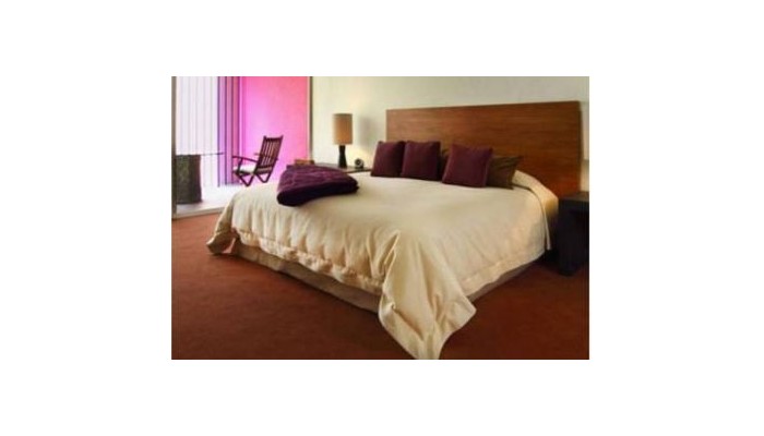 Hotel Camino Real Polanco poza 3