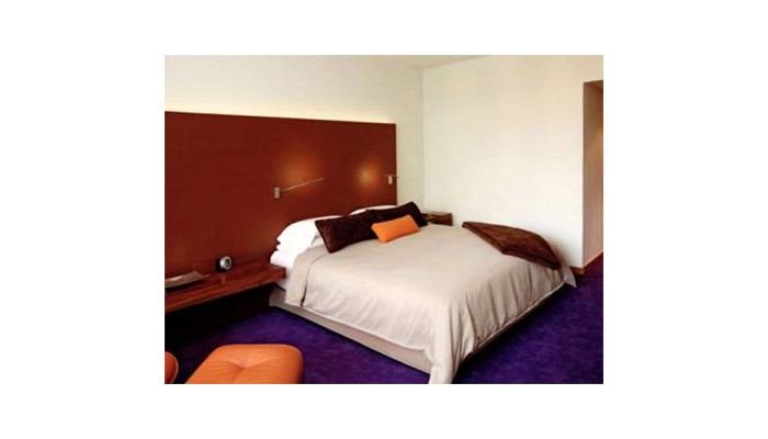 Hotel Camino Real Polanco Mexico poza 3