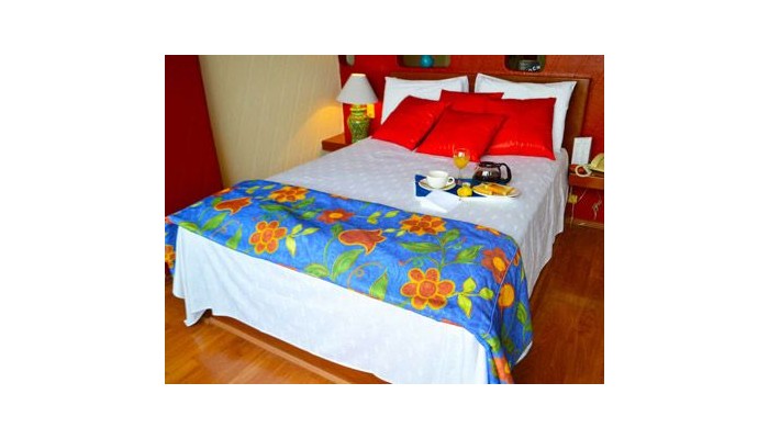 Hotel Casa De La Condesa poza 1