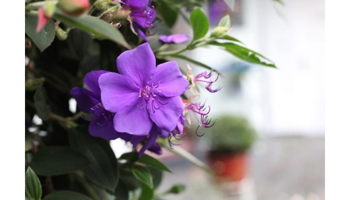 Hotel Casa Gonzalez poza 5