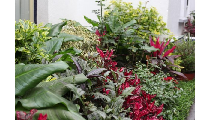 Hotel Casa Gonzalez poza 10