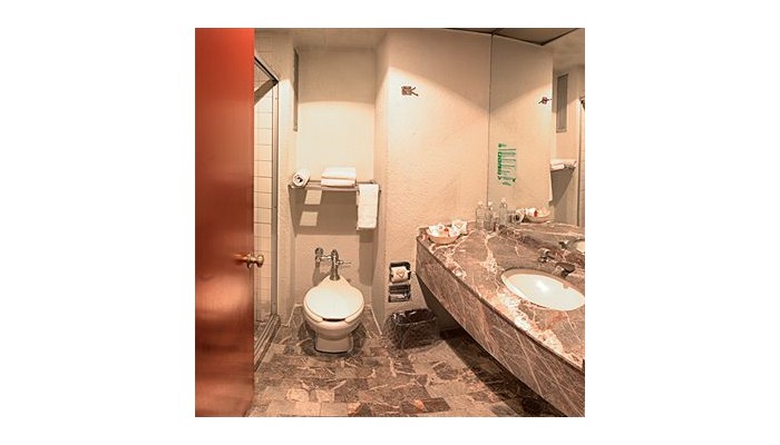 Hotel Centro Empresarial Valle De Maxico poza 2