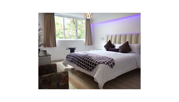 Hotel Condesa 185 poza 1