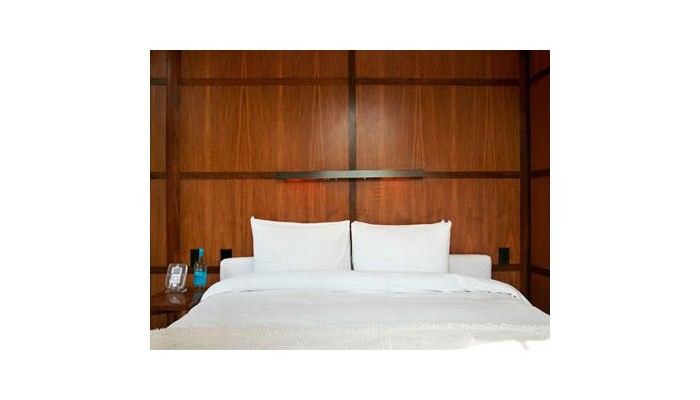 Hotel Condesa Df poza 7