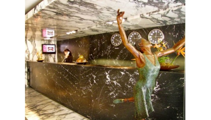 Hotel Del Angel poza 10