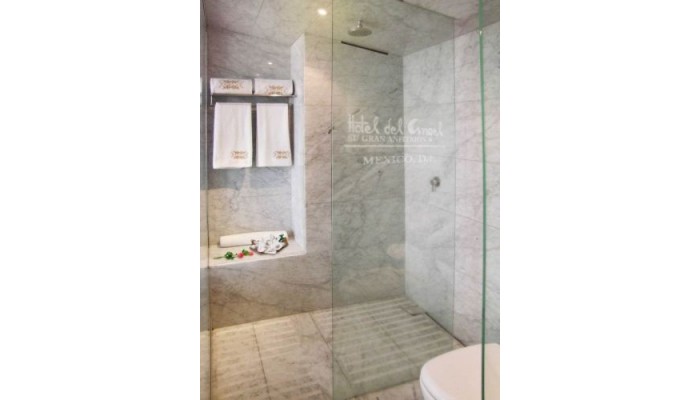 Hotel Del Angel poza 4