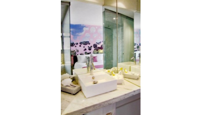 Hotel Del Angel poza 2