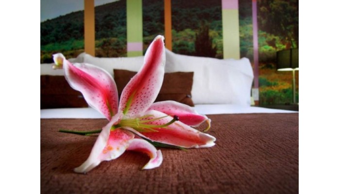 Hotel Del Angel poza 5