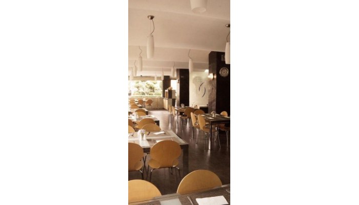 Hotel Del Bosque poza 11