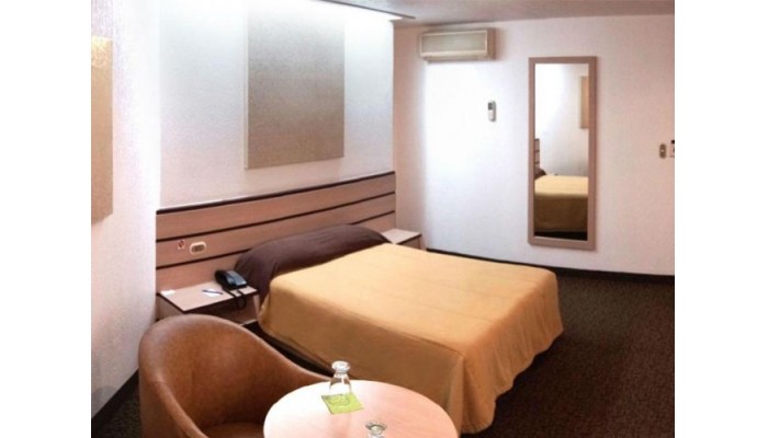 Hotel Del Bosque poza 7