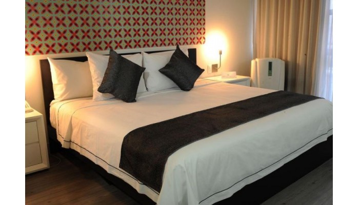 Hotel El Ejecutivo By Reforma Avenue poza 0