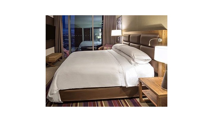 Hotel Fiesta Americana Ciudad De Mexico Toreo poza 4